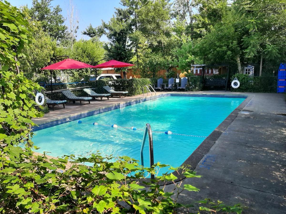 Blue Moon Motel Καταρράκτες του Νιαγάρα Εξωτερικό φωτογραφία