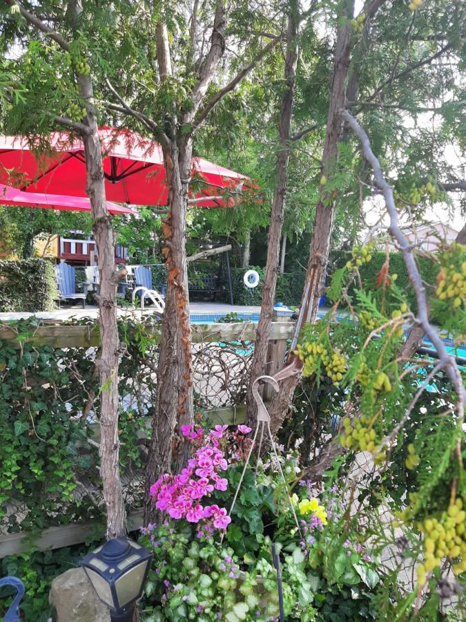 Blue Moon Motel Καταρράκτες του Νιαγάρα Εξωτερικό φωτογραφία
